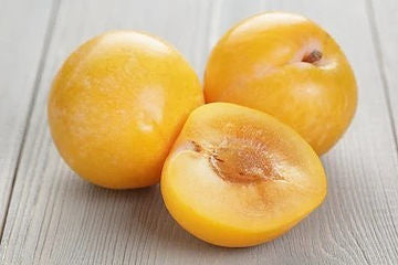 Umeboshi Plum White Balsamic Vinegar
