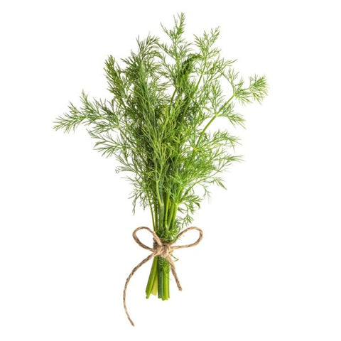 Wild Fernleaf Dill Olive Oil