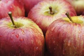Gravenstein Apple White Balsamic Vinegar