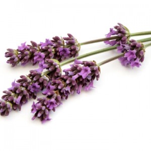 Lavender Dark Balsamic Vinegar