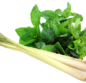 Lemongrass Mint White Balsamic Vinegar